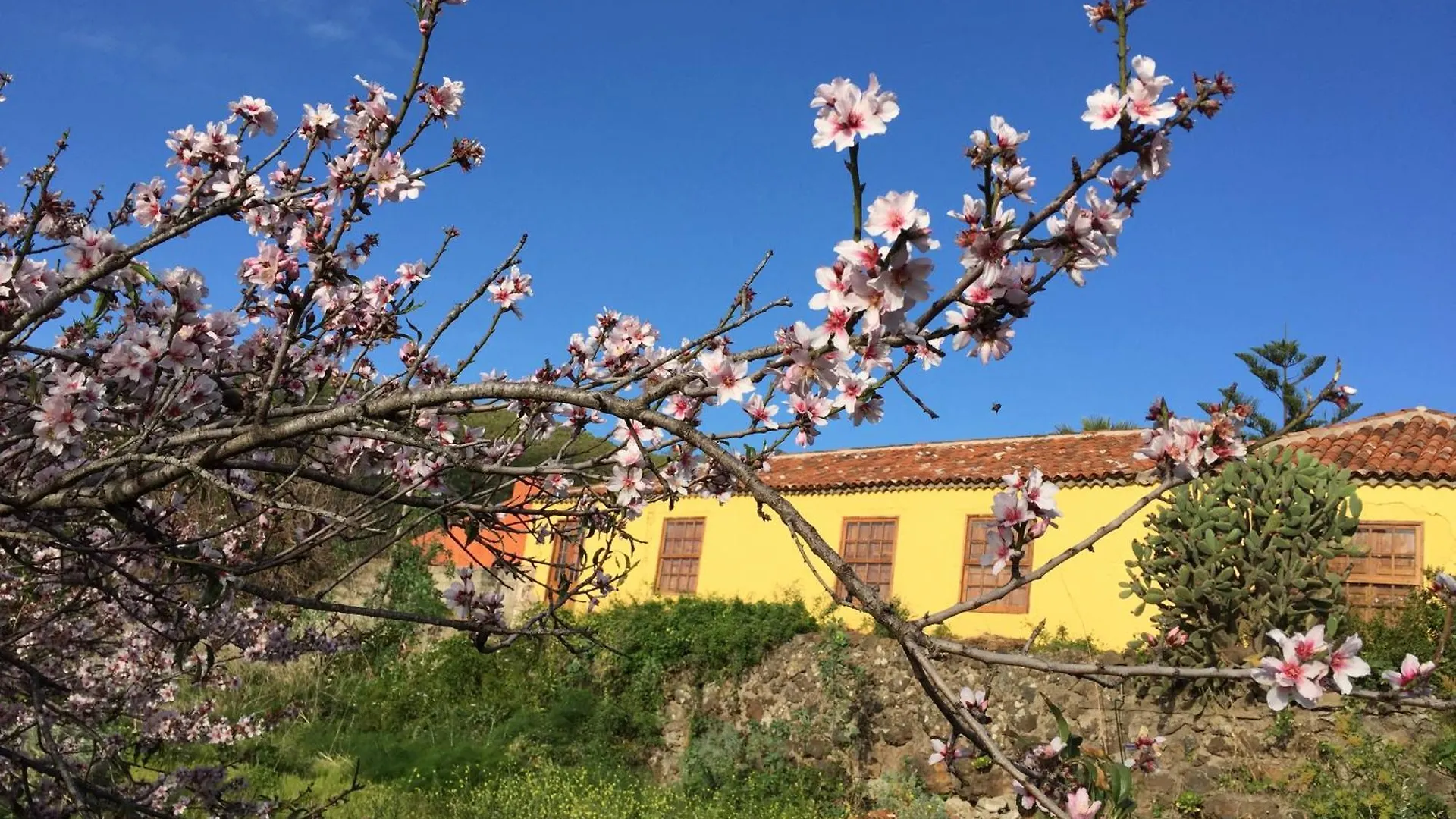 Haciendas Del Valle-Montemayor Las Toscas Espagne